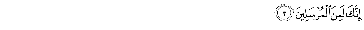 /images/36/36_3.png