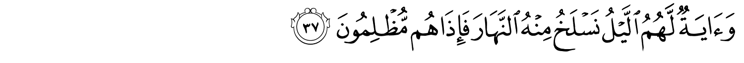 /images/36/36_37.png