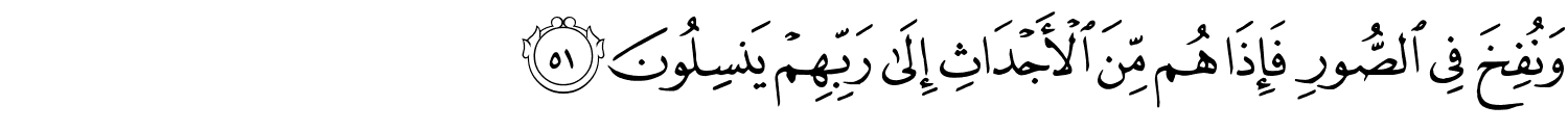 /images/36/36_51.png