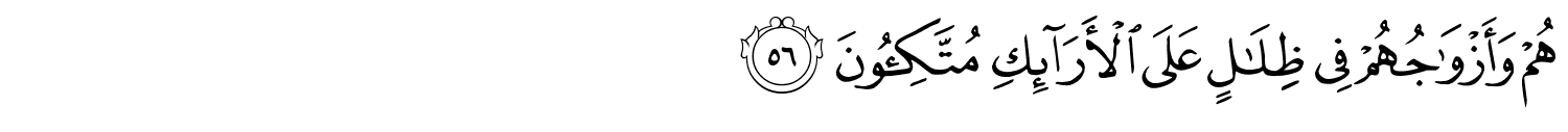 /images/36/36_56.png