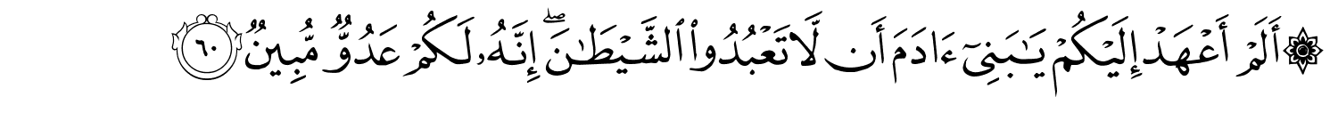 /images/36/36_60.png