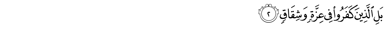/images/38/38_2.png