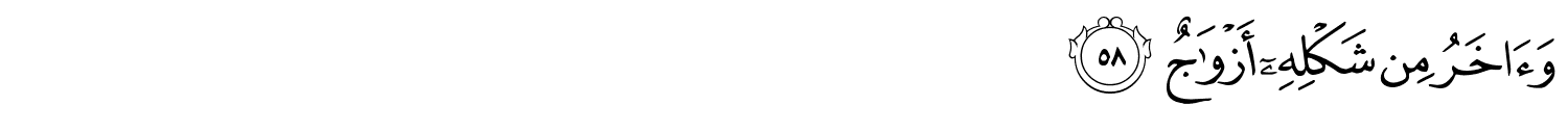 /images/38/38_58.png