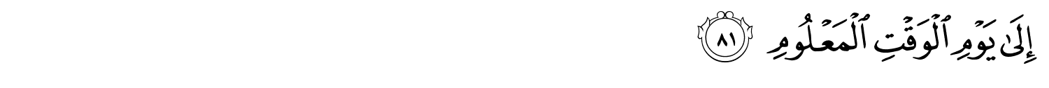 /images/38/38_81.png