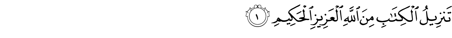 /images/39/39_1.png