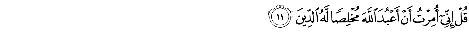 /images/39/39_11.png