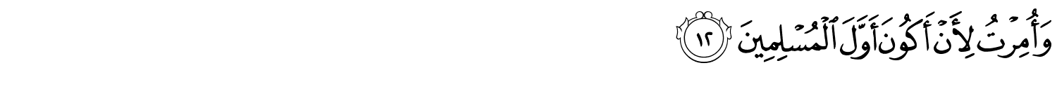 /images/39/39_12.png