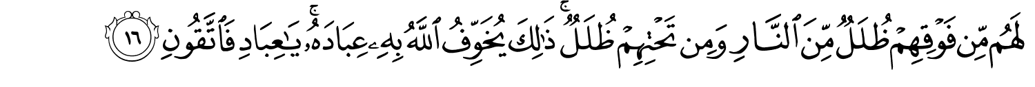 /images/39/39_16.png