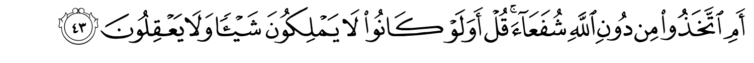 /images/39/39_43.png