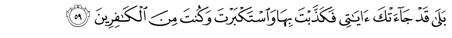 /images/39/39_59.png
