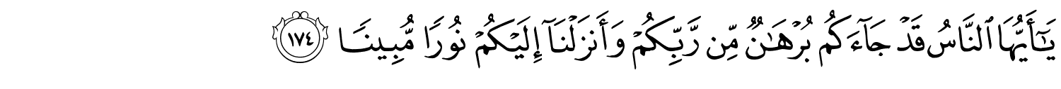 /images/4/4_174.png