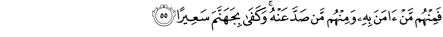 /images/4/4_55.png