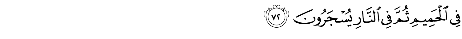 /images/40/40_72.png