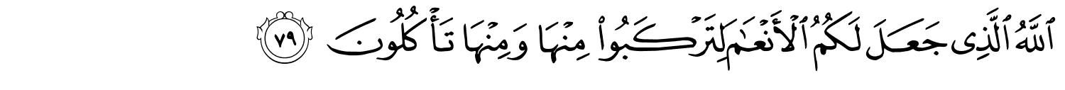 /images/40/40_79.png