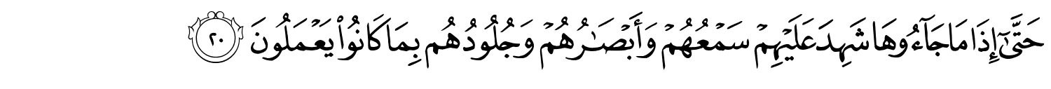 /images/41/41_20.png