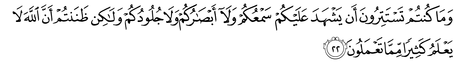 /images/41/41_22.png