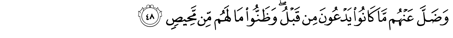 /images/41/41_48.png