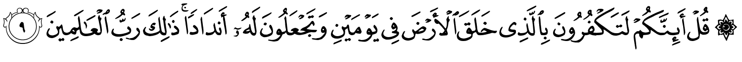 /images/41/41_9.png