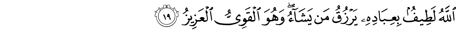 /images/42/42_19.png