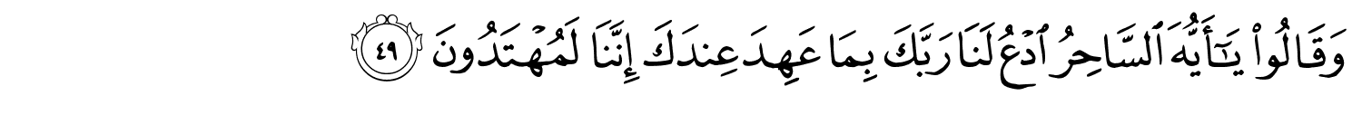 /images/43/43_49.png