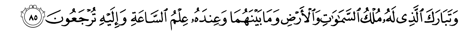 /images/43/43_85.png