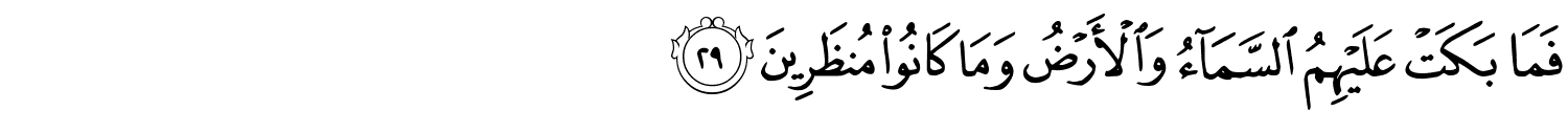 /images/44/44_29.png