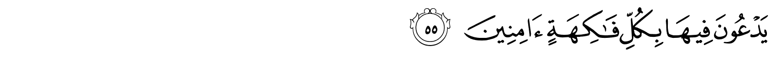 /images/44/44_55.png