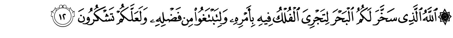 /images/45/45_12.png