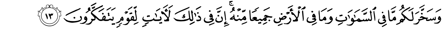 /images/45/45_13.png