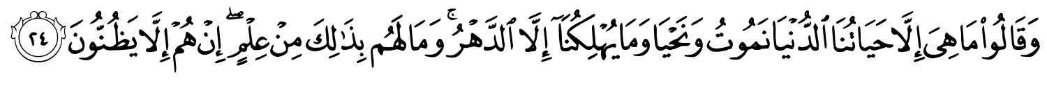 /images/45/45_24.png