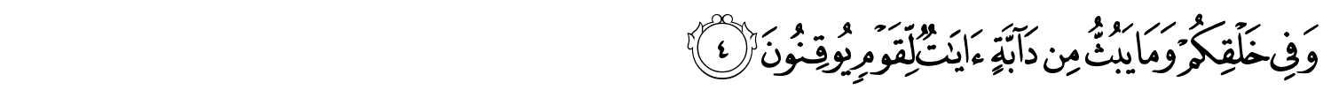 /images/45/45_4.png