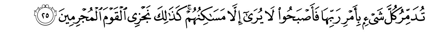 /images/46/46_25.png