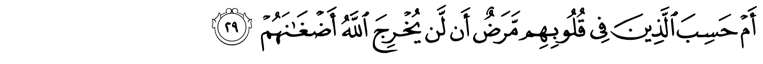 /images/47/47_29.png