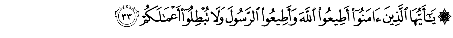 /images/47/47_33.png