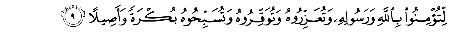 /images/48/48_9.png