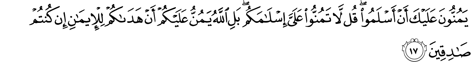 /images/49/49_17.png