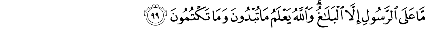 /images/5/5_99.png