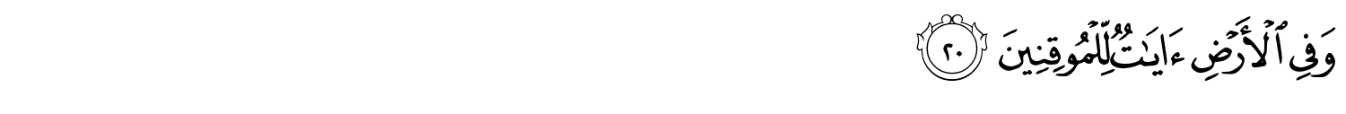 /images/51/51_20.png