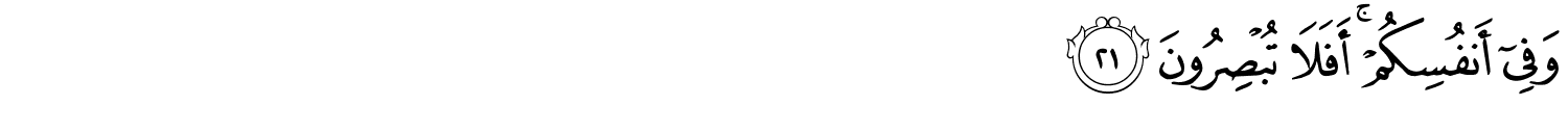 /images/51/51_21.png