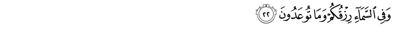 /images/51/51_22.png