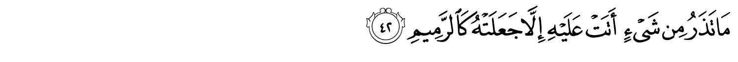 /images/51/51_42.png