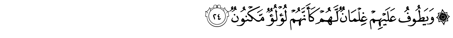 /images/52/52_24.png