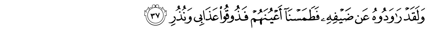 /images/54/54_37.png