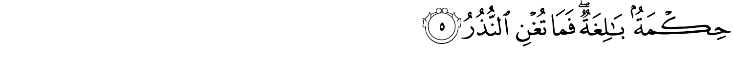 /images/54/54_5.png
