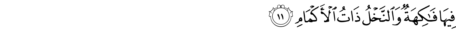 /images/55/55_11.png