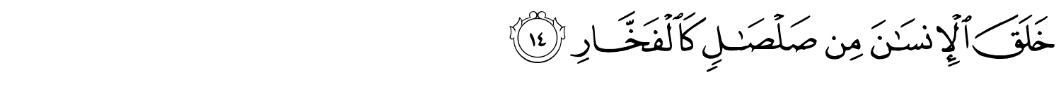 /images/55/55_14.png