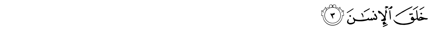 /images/55/55_3.png