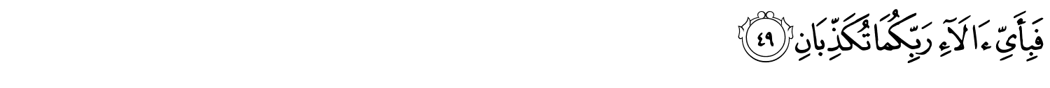 /images/55/55_49.png