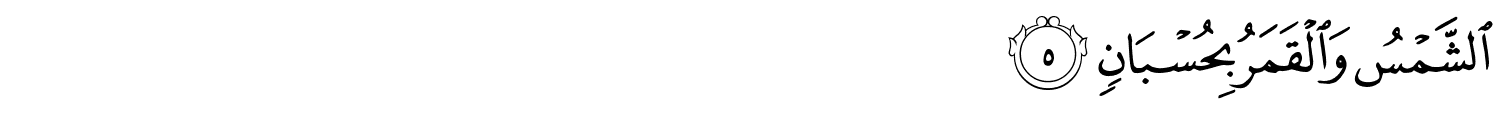 /images/55/55_5.png
