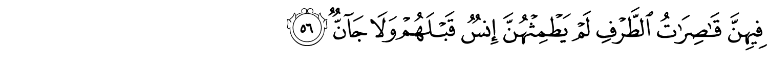 /images/55/55_56.png